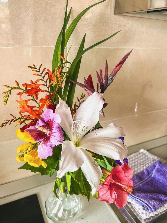 Sun-Soaked Apt W Patio, Balcony & Garden - Aguilas La Orotava Kültér fotó
